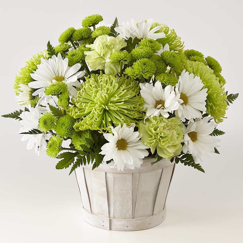 Lucky Charm Basket (Standard) – MAGGIE'S FLORIST AND GIFTS, Decatur AL