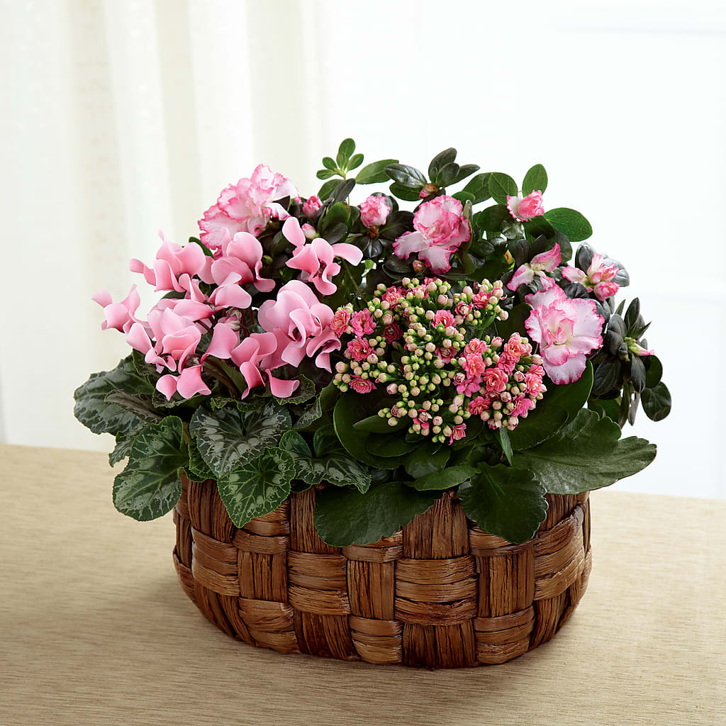 Pink Assortment – MAGGIE'S FLORIST AND GIFTS, Decatur AL