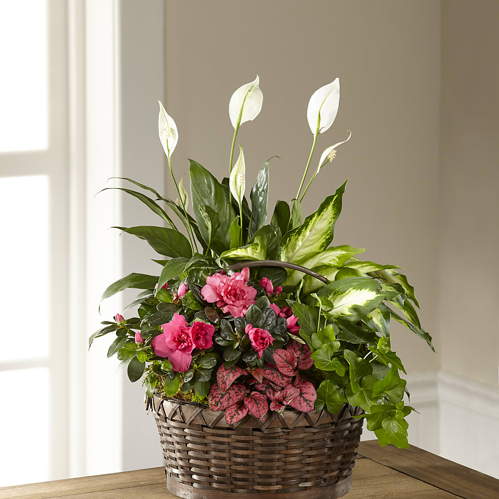Dream in Pink Dishgarden – MAGGIE'S FLORIST AND GIFTS, Decatur AL