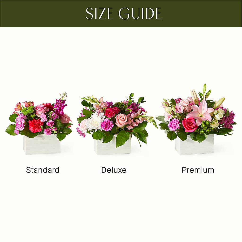 Sweetberry Box – A Florist Original – MAGGIE'S FLORIST AND GIFTS, Decatur AL