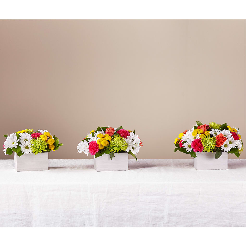 Sorbet Bouquet – MAGGIE'S FLORIST AND GIFTS, Decatur AL