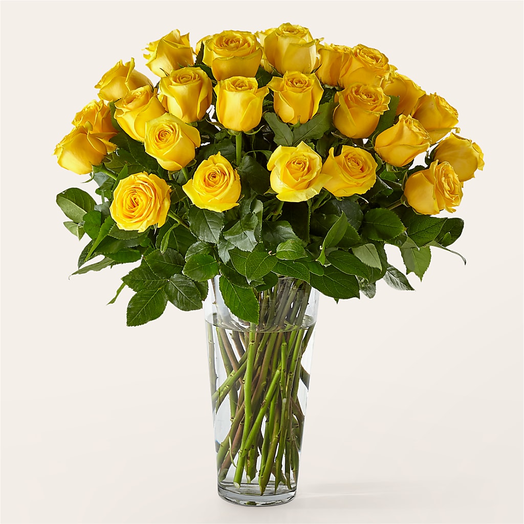 Long Stem Yellow Rose Bouquet – MAGGIE'S FLORIST AND GIFTS, Decatur AL