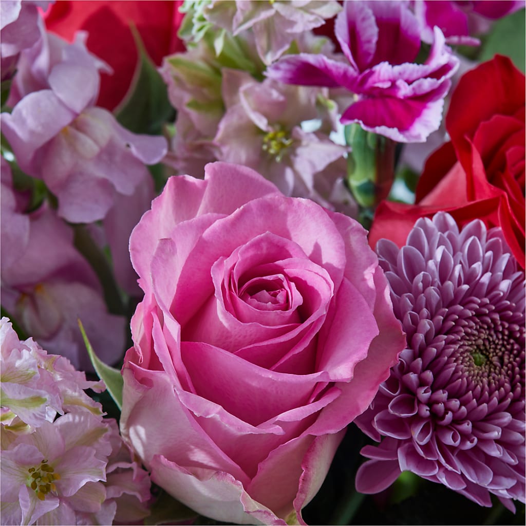 Better Together - A Luxury Florist Original – MAGGIE'S FLORIST AND GIFTS, Decatur AL