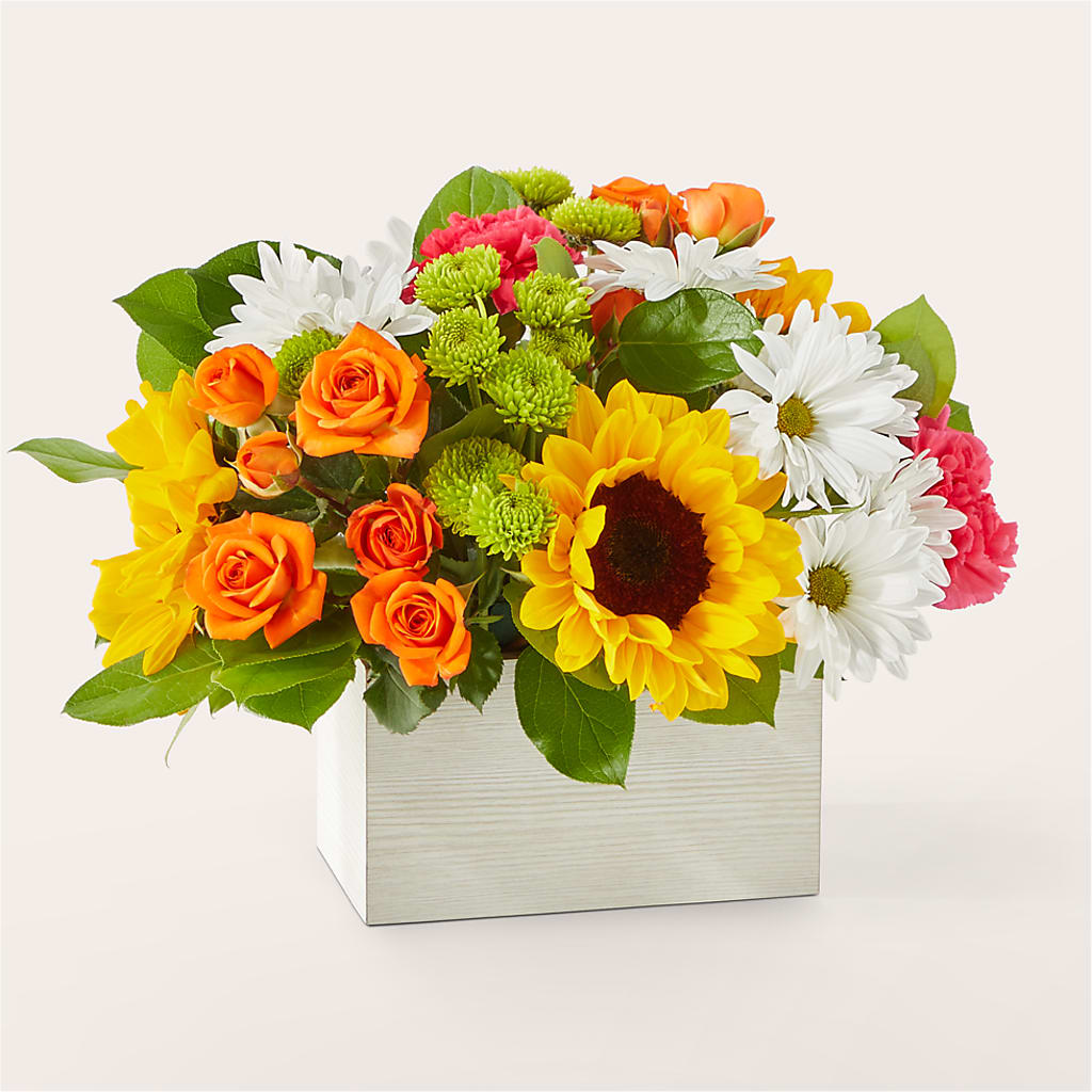 Sun-drenched Blooms Box Bouquet – MAGGIE'S FLORIST AND GIFTS, Decatur AL