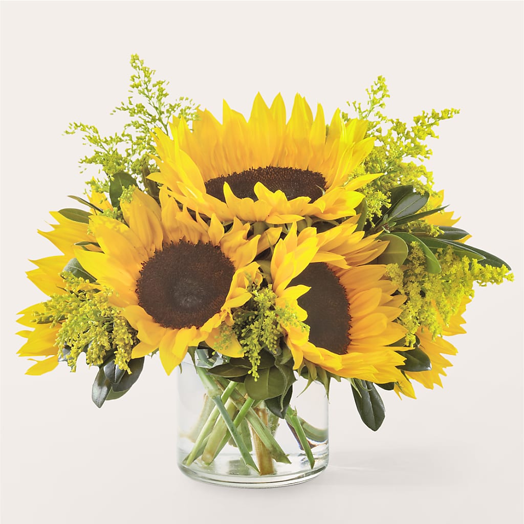 Beaming Sunflower Bouquet – MAGGIE'S FLORIST AND GIFTS, Decatur AL