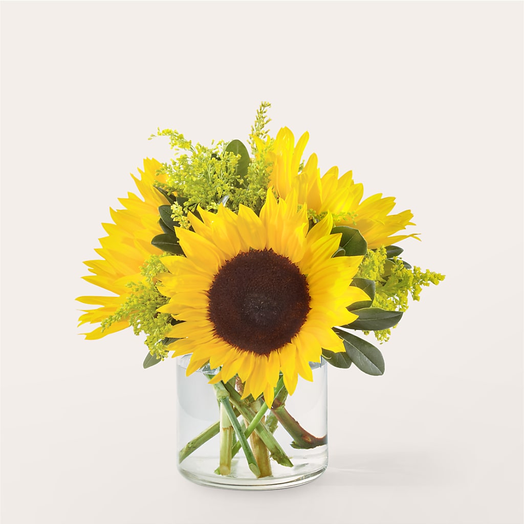 Beaming Sunflower Bouquet – MAGGIE'S FLORIST AND GIFTS, Decatur AL