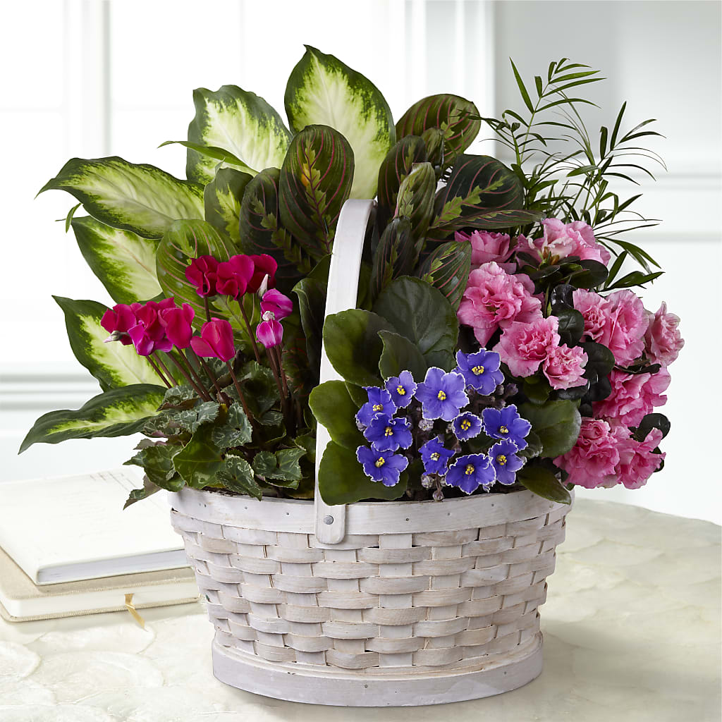 Peaceful Garden Planter – MAGGIE'S FLORIST AND GIFTS, Decatur AL