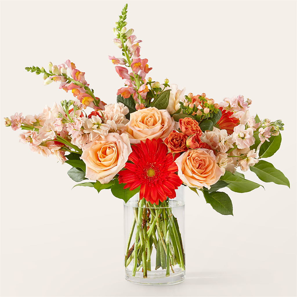 Paloma Please Bouquet – MAGGIE'S FLORIST AND GIFTS, Decatur AL