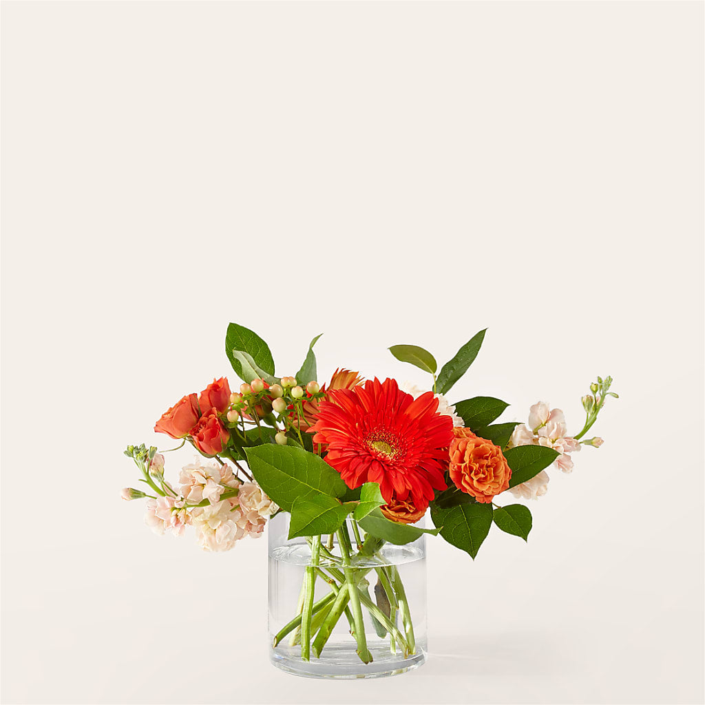 Paloma Please Bouquet – MAGGIE'S FLORIST AND GIFTS, Decatur AL