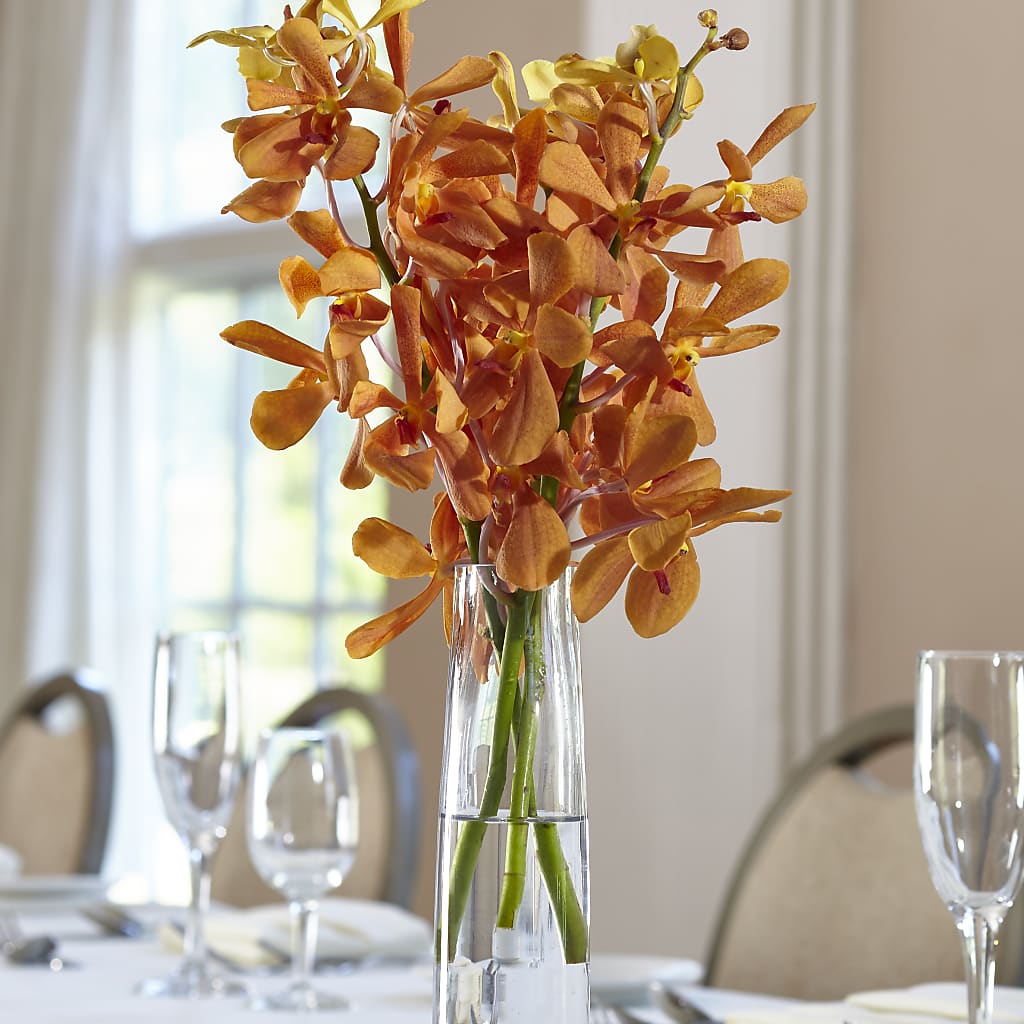 Orange Mokara Bud Vase – MAGGIE'S FLORIST AND GIFTS, Decatur AL
