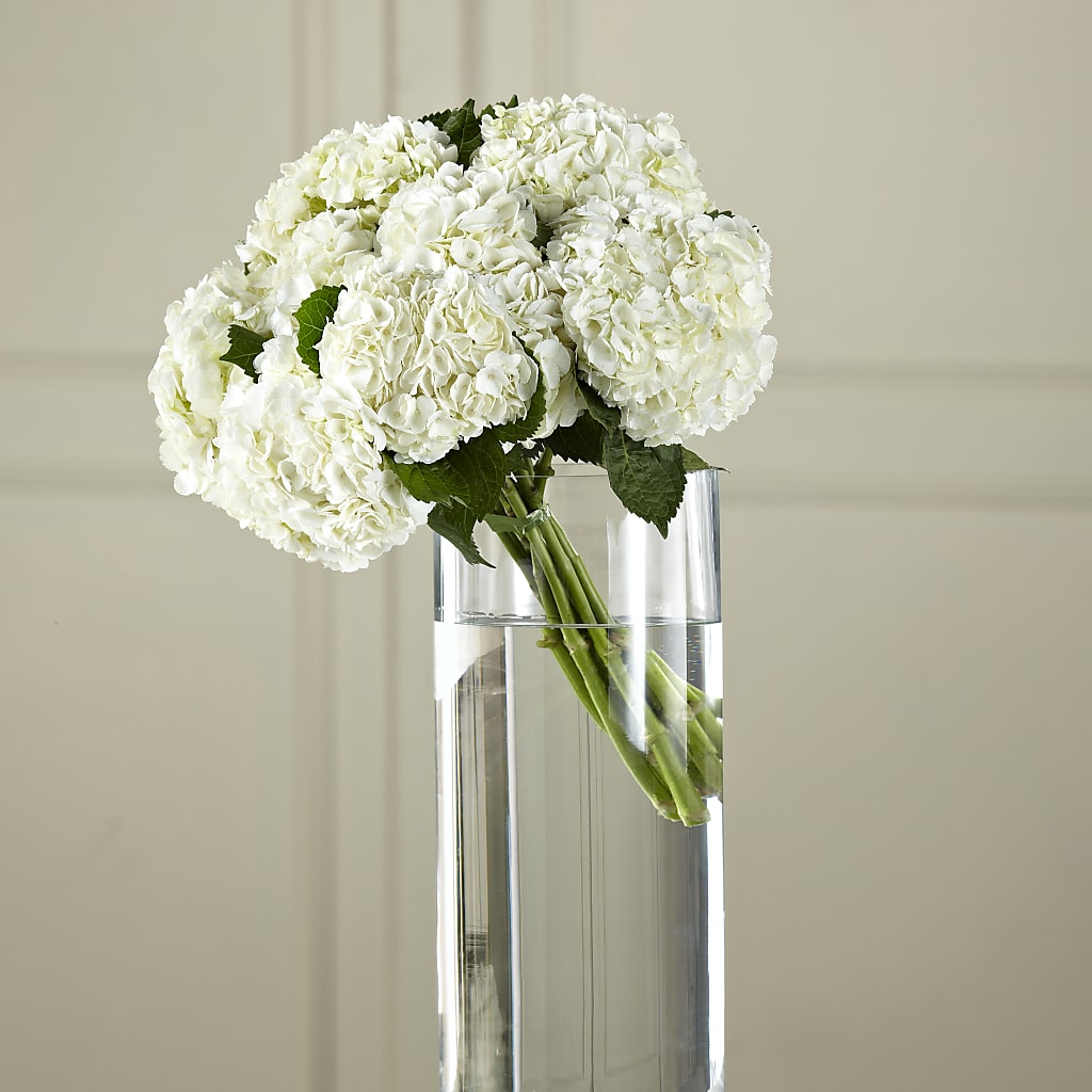 White Hydrangea Hand-Tied Bouquet – MAGGIE'S FLORIST AND GIFTS, Decatur AL