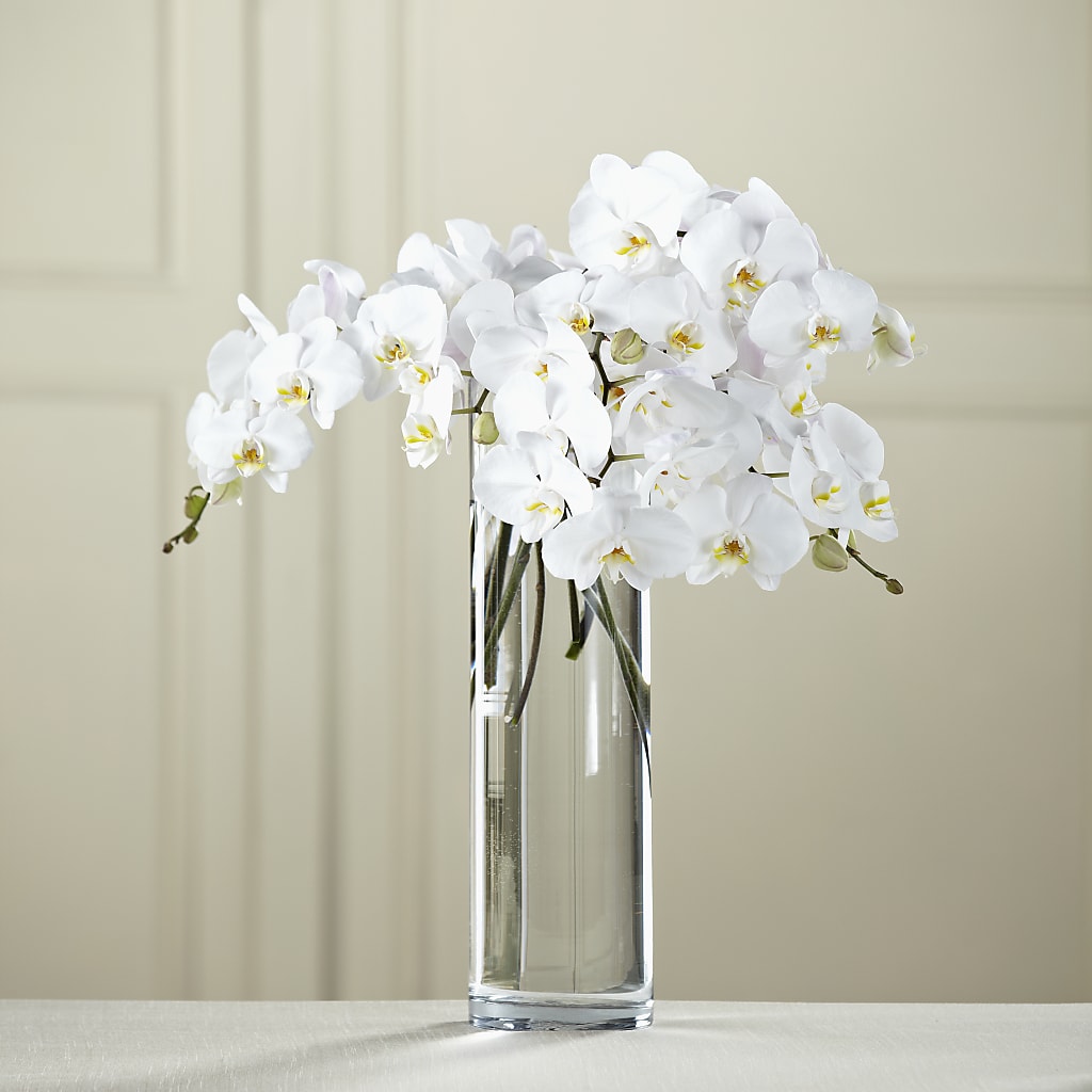 White Phalaenopsis Bouquet – MAGGIE'S FLORIST AND GIFTS, Decatur AL