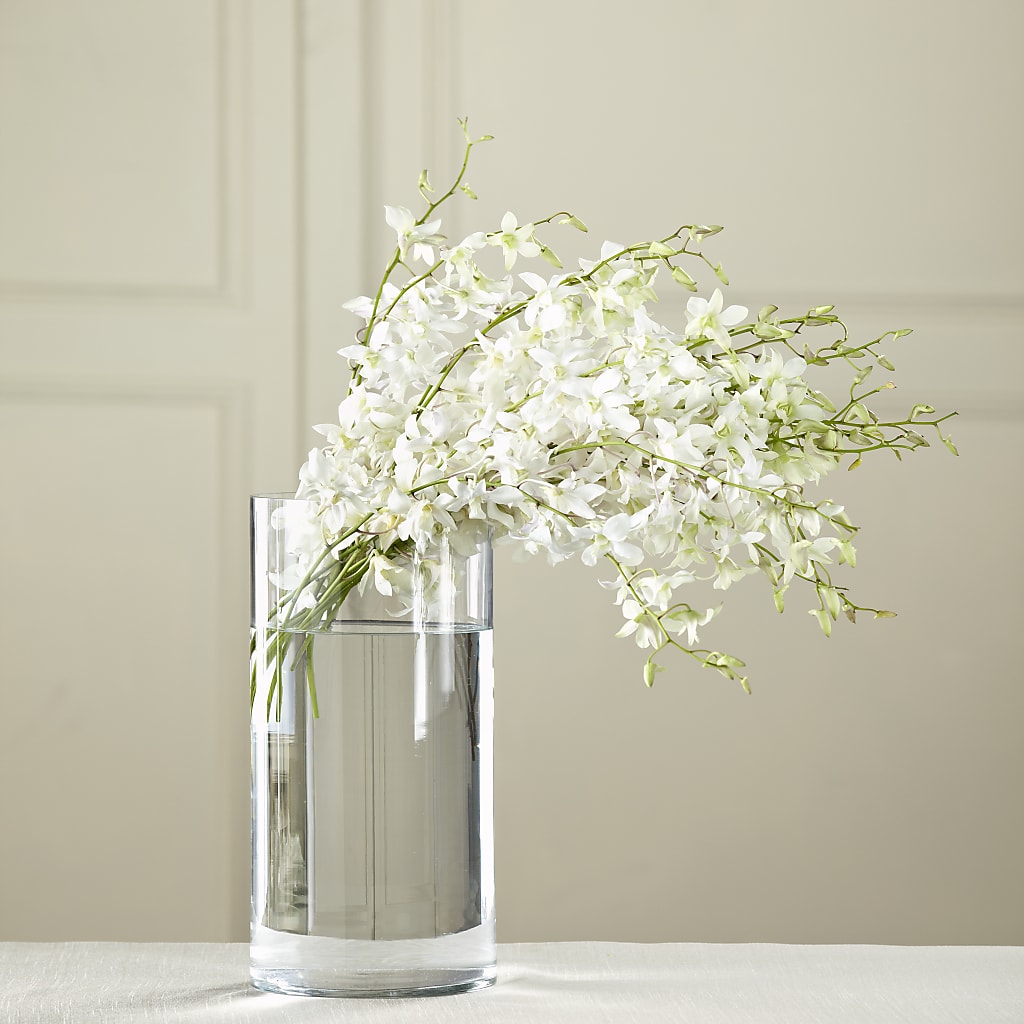 White Dendrobium Bouquet – MAGGIE'S FLORIST AND GIFTS, Decatur AL
