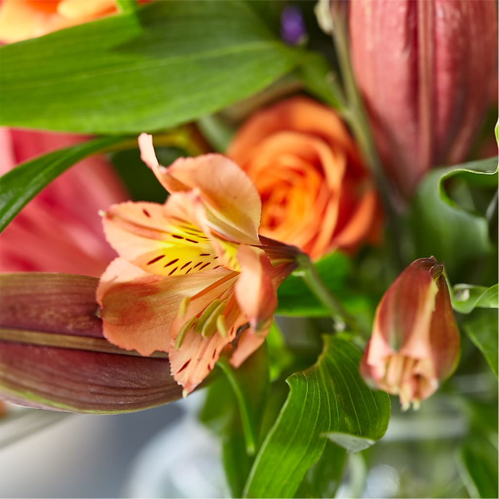 Bold & Bright – A Florist Original – MAGGIE'S FLORIST AND GIFTS, Decatur AL