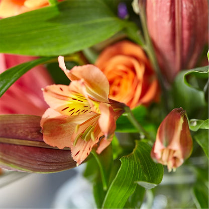 Bold & Bright – A Florist Original – MAGGIE'S FLORIST AND GIFTS, Decatur AL