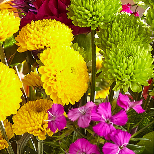 Bold & Bright – A Florist Original – MAGGIE'S FLORIST AND GIFTS, Decatur AL