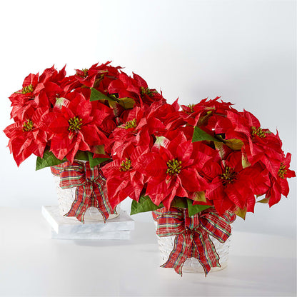 Happiest Holidays Poinsettia Bundle – MAGGIE'S FLORIST AND GIFTS, Decatur AL