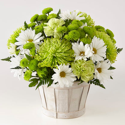 Lucky Charm Basket (Standard) – MAGGIE'S FLORIST AND GIFTS, Decatur AL