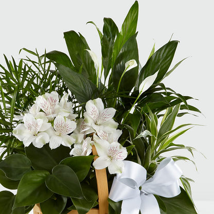 Peace & Serenity Dishgarden – MAGGIE'S FLORIST AND GIFTS, Decatur AL