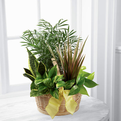 French Garden – MAGGIE'S FLORIST AND GIFTS, Decatur AL