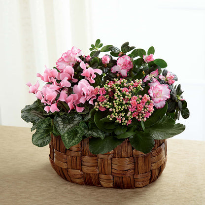 Pink Assortment – MAGGIE'S FLORIST AND GIFTS, Decatur AL