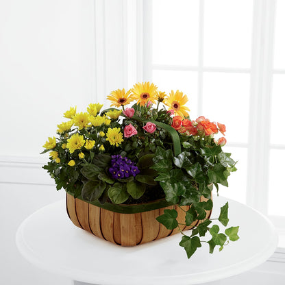 Gentle Blossoms Basket – MAGGIE'S FLORIST AND GIFTS, Decatur AL