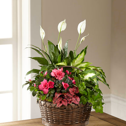 Dream in Pink Dishgarden – MAGGIE'S FLORIST AND GIFTS, Decatur AL