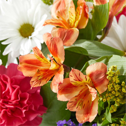 Oopsie Daisy Box Bouquet – MAGGIE'S FLORIST AND GIFTS, Decatur AL