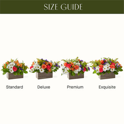 Oopsie Daisy Box Bouquet – MAGGIE'S FLORIST AND GIFTS, Decatur AL