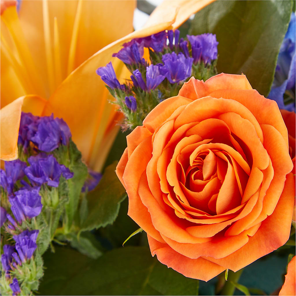 Radiant Citrus Box Bouquet – MAGGIE'S FLORIST AND GIFTS, Decatur AL