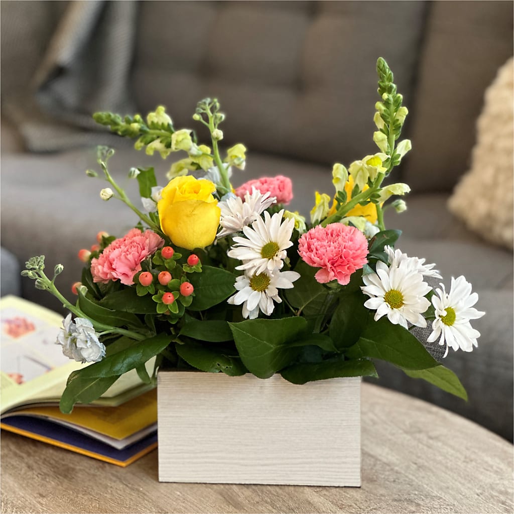 Sun Salutation Box Bouquet – MAGGIE'S FLORIST AND GIFTS, Decatur AL