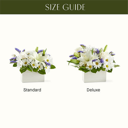 Beyond Blue Box Bouquet – MAGGIE'S FLORIST AND GIFTS, Decatur AL