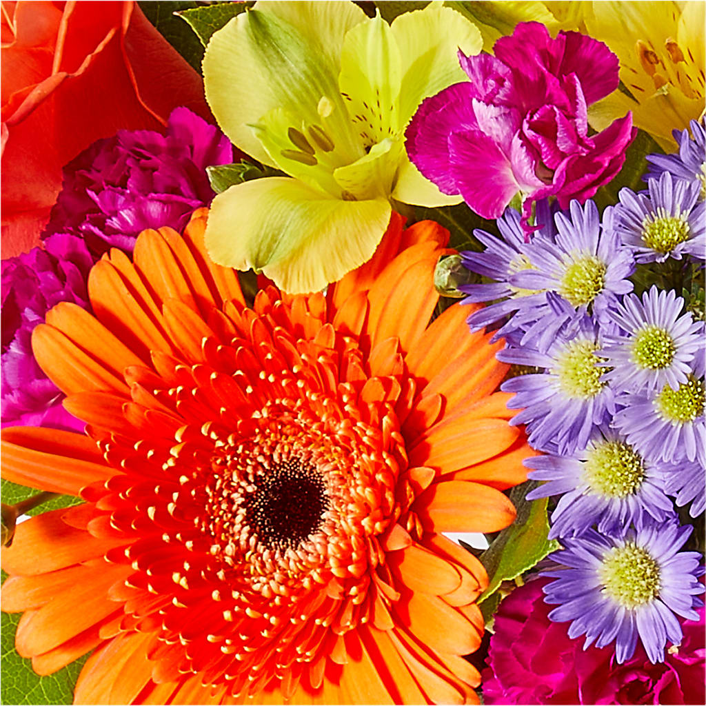 Tricks & Treats Pumpkin – MAGGIE'S FLORIST AND GIFTS, Decatur AL