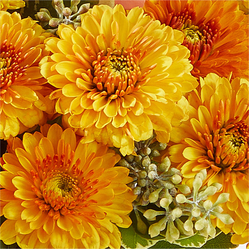 Peachy Pumpkin – MAGGIE'S FLORIST AND GIFTS, Decatur AL