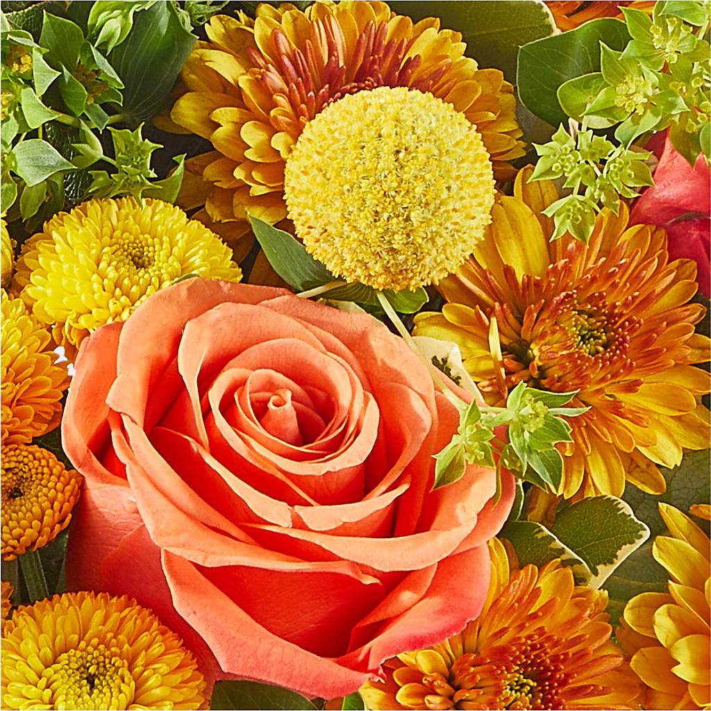 Gourdgeous Pumpkin – MAGGIE'S FLORIST AND GIFTS, Decatur AL