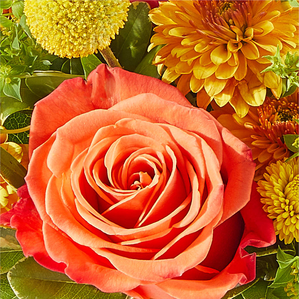 Gourdgeous Pumpkin – MAGGIE'S FLORIST AND GIFTS, Decatur AL