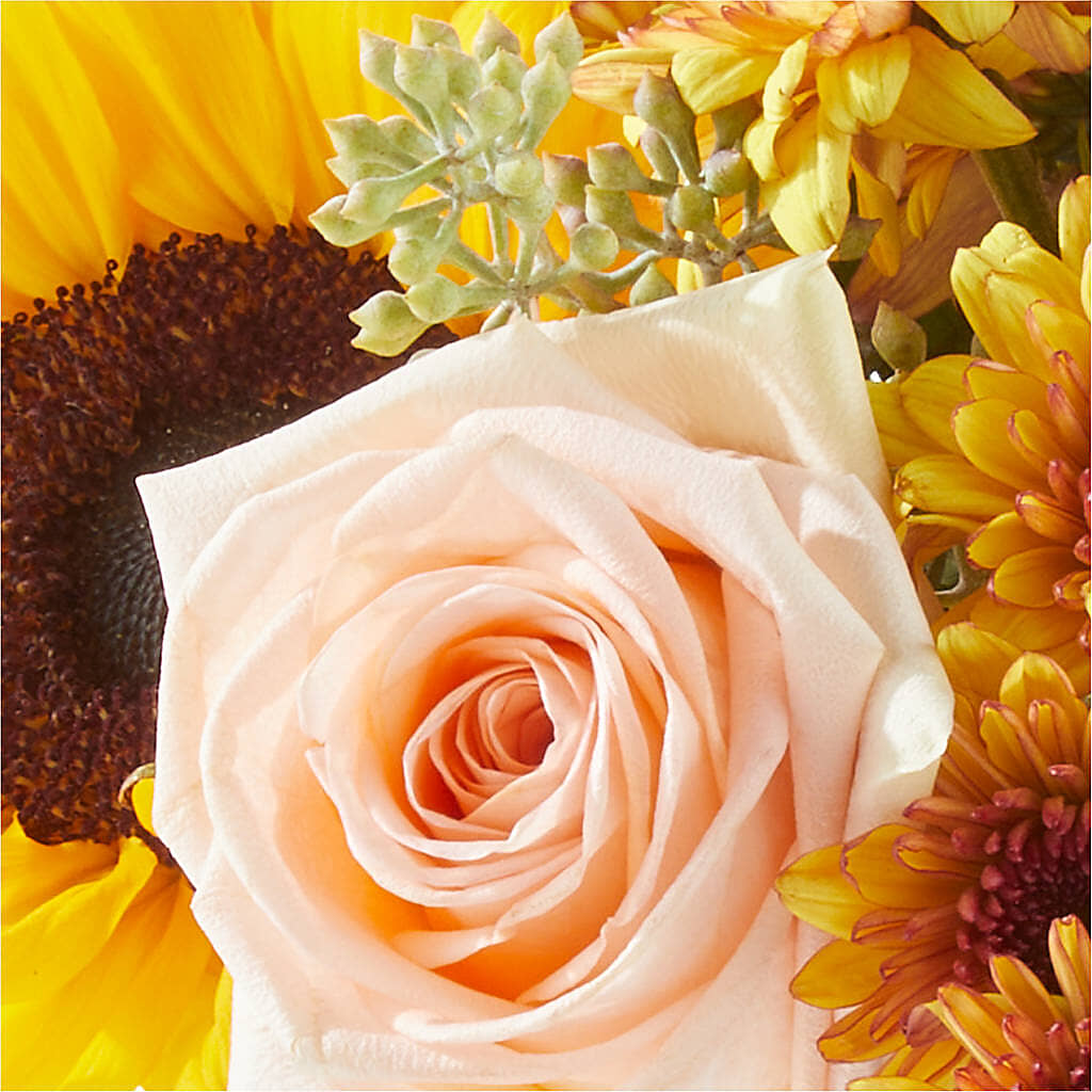 Pumpkin to Talk About Bouquet – MAGGIE'S FLORIST AND GIFTS, Decatur AL