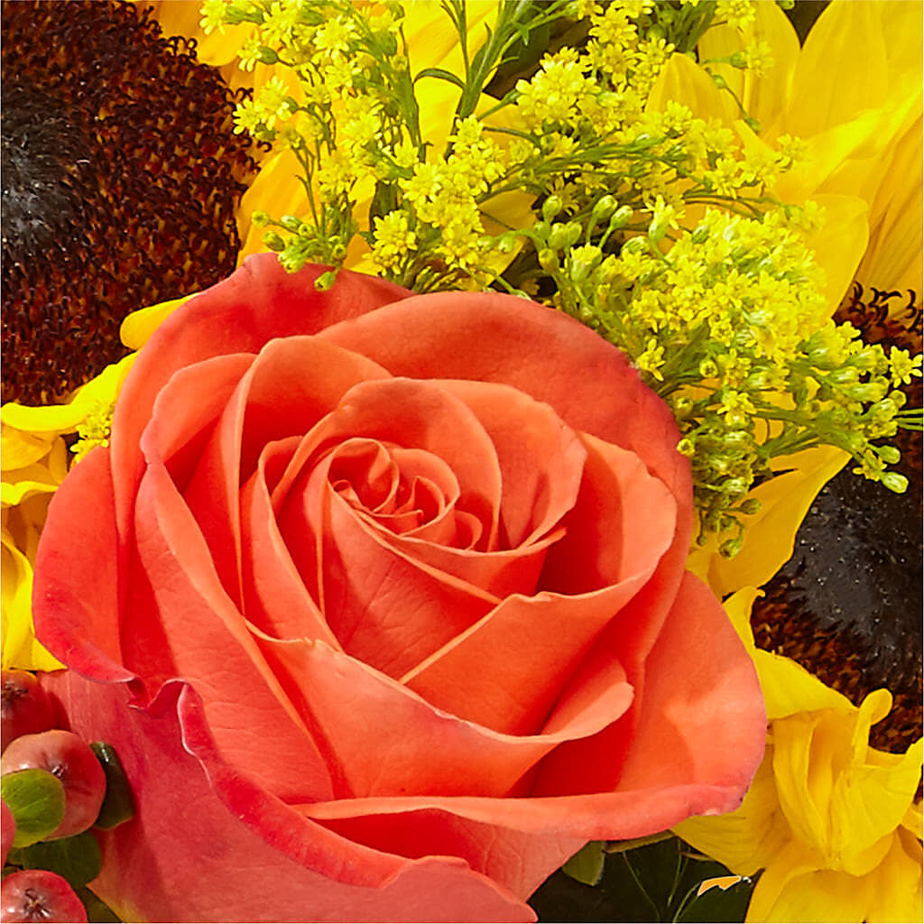 Pick of the Patch Pumpkin Bouquet – MAGGIE'S FLORIST AND GIFTS, Decatur AL