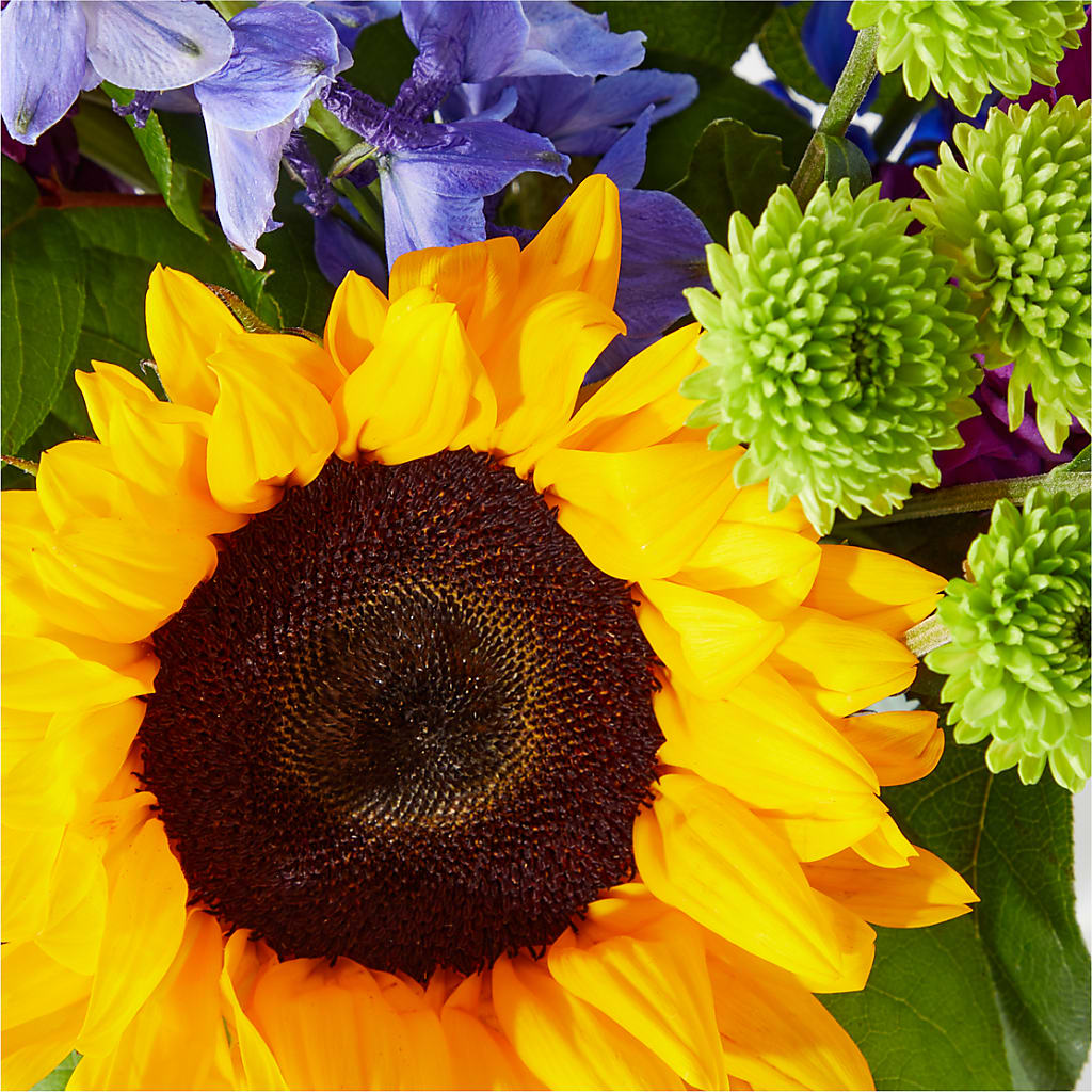Catching Rays Bouquet – MAGGIE'S FLORIST AND GIFTS, Decatur AL