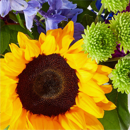 Catching Rays Bouquet – MAGGIE'S FLORIST AND GIFTS, Decatur AL