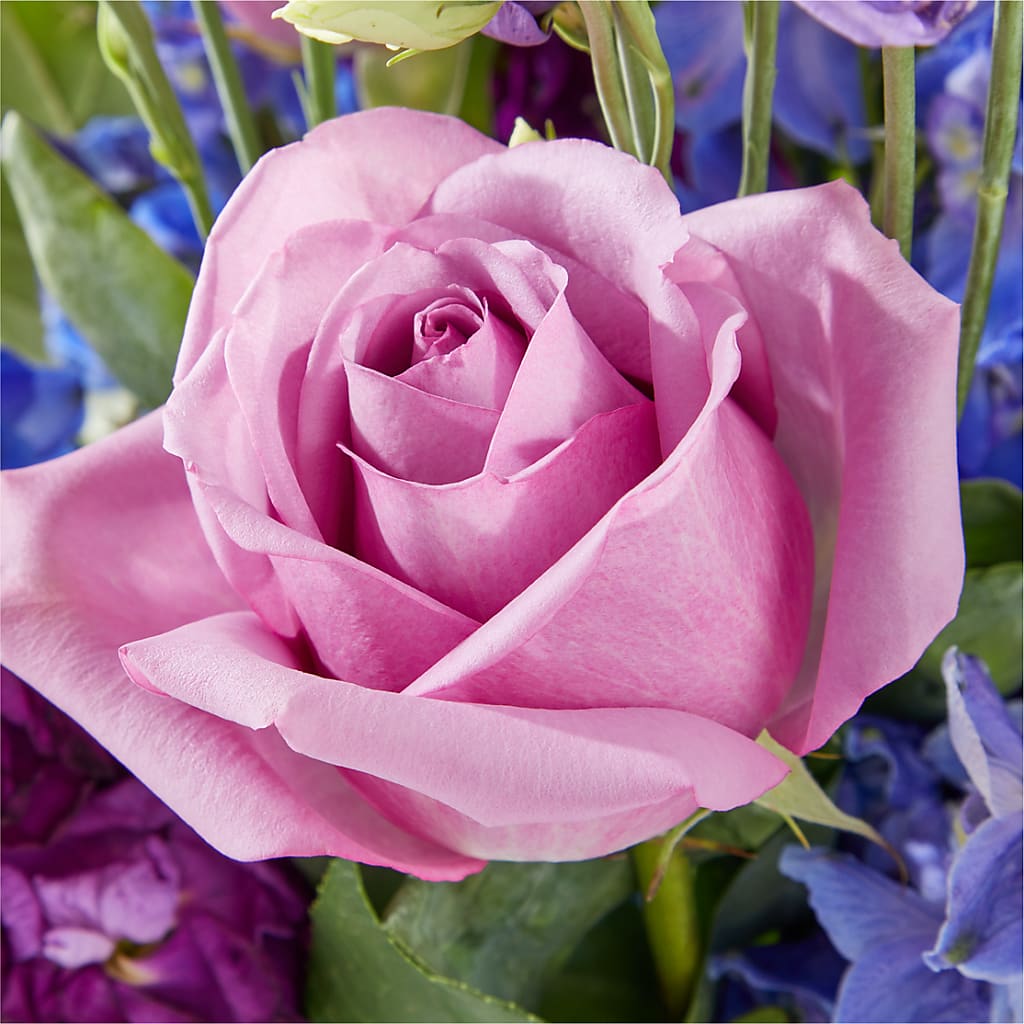 Twilight Glow Bouquet – MAGGIE'S FLORIST AND GIFTS, Decatur AL