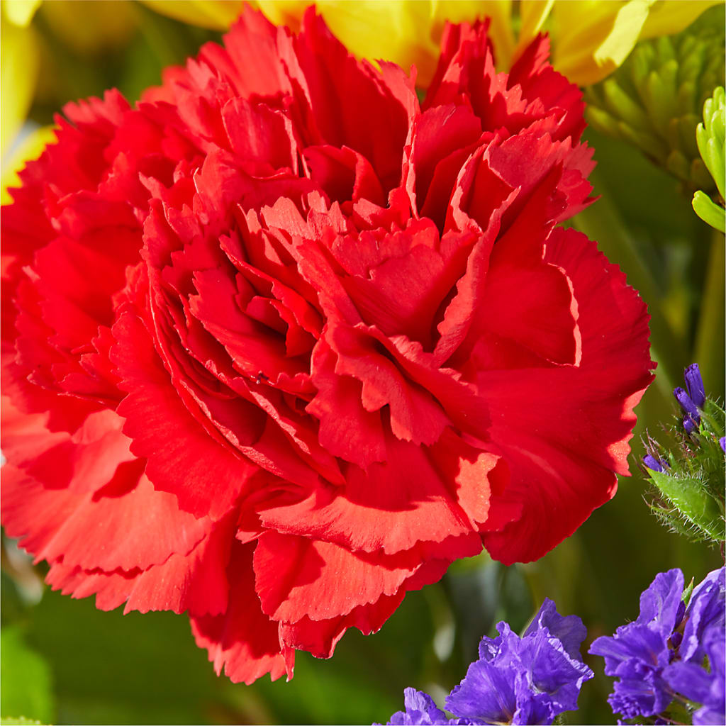 Brighter Days Bouquet – MAGGIE'S FLORIST AND GIFTS, Decatur AL