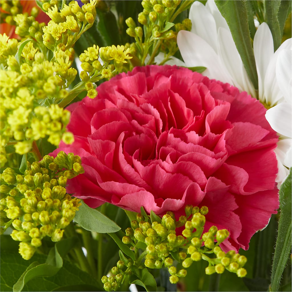 Oopsie Daisy Bouquet – MAGGIE'S FLORIST AND GIFTS, Decatur AL