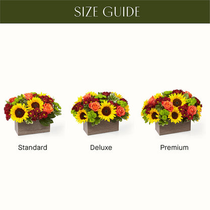 Happy Harvest Garden – MAGGIE'S FLORIST AND GIFTS, Decatur AL