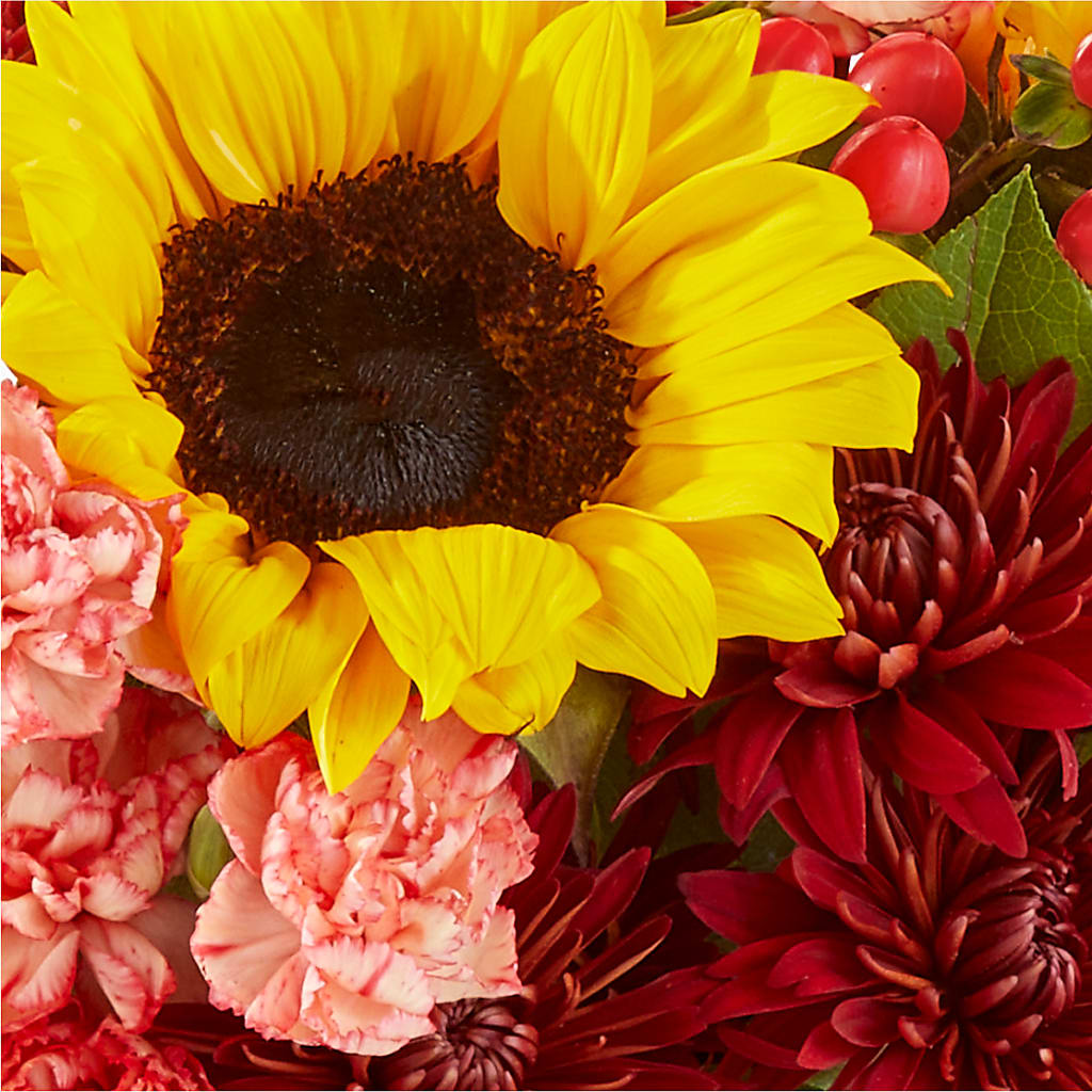 Fresh Cider Bouquet – MAGGIE'S FLORIST AND GIFTS, Decatur AL