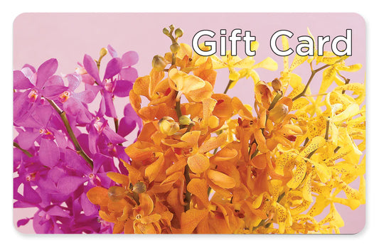 Gift Card – MAGGIE'S FLORIST AND GIFTS, Decatur AL