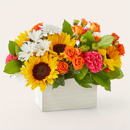 Sun-drenched Blooms Box Bouquet – MAGGIE'S FLORIST AND GIFTS, Decatur AL