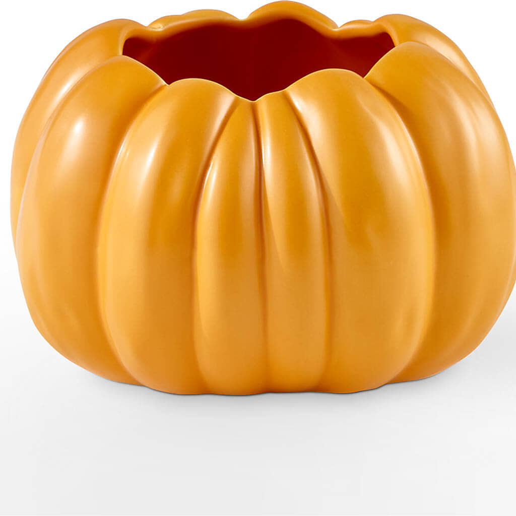 Pick of the Patch Pumpkin Bouquet – MAGGIE'S FLORIST AND GIFTS, Decatur AL