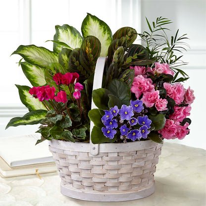 Peaceful Garden Planter – MAGGIE'S FLORIST AND GIFTS, Decatur AL