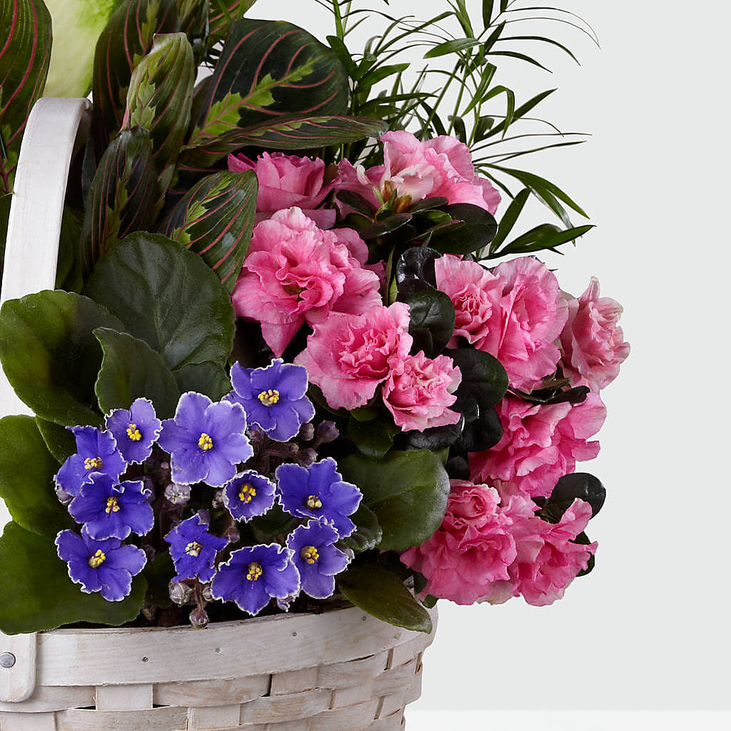 Peaceful Garden Planter – MAGGIE'S FLORIST AND GIFTS, Decatur AL